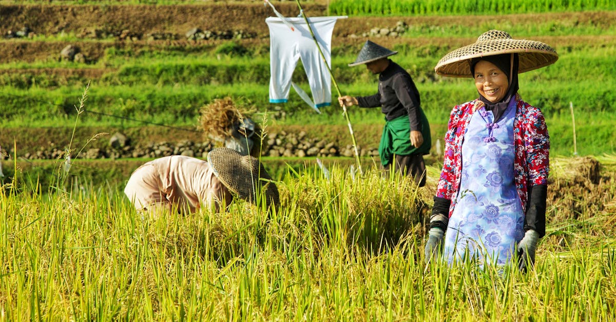 致敬風雨中最溫暖力量 黃敏惠慰勉第一線工程 清潔隊員