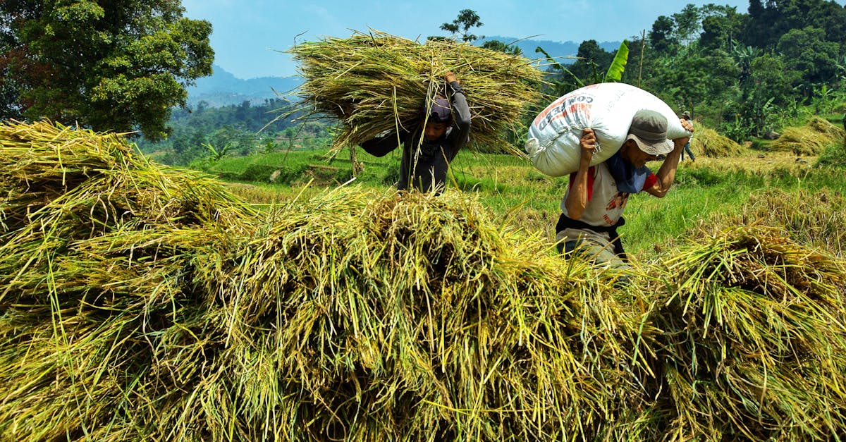致敬風雨中最溫暖力量 黃敏惠慰勉第一線工程 清潔隊員