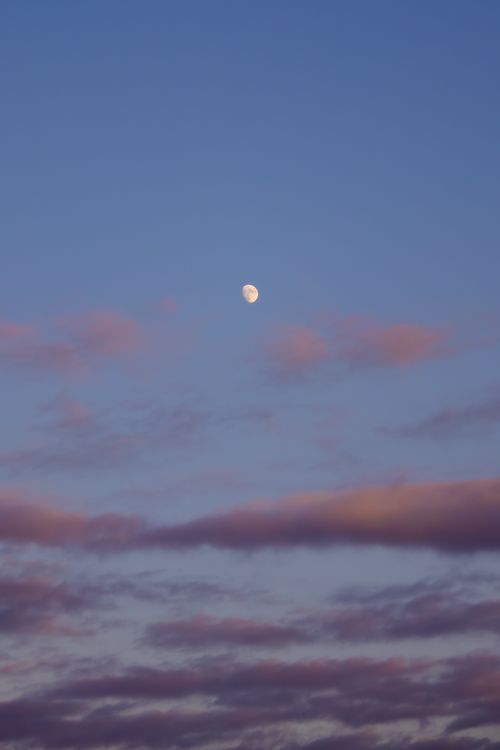 Free A tranquil moonlit sky with scattered clouds over Rize, Türkiye, capturing the beauty of a clear night. Stock Photo