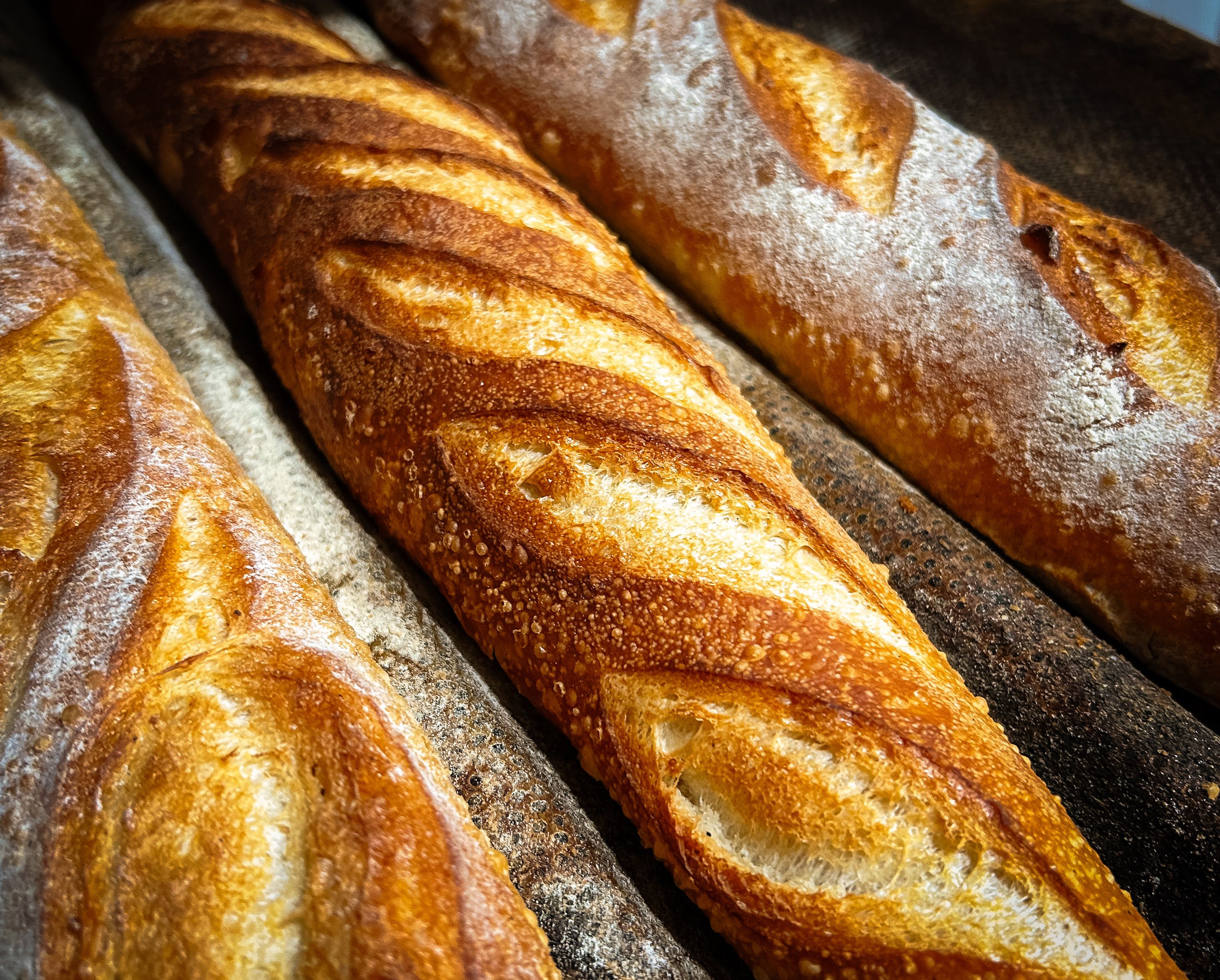 freshly-baked-golden-baguettes-close-up-free-stock-photo