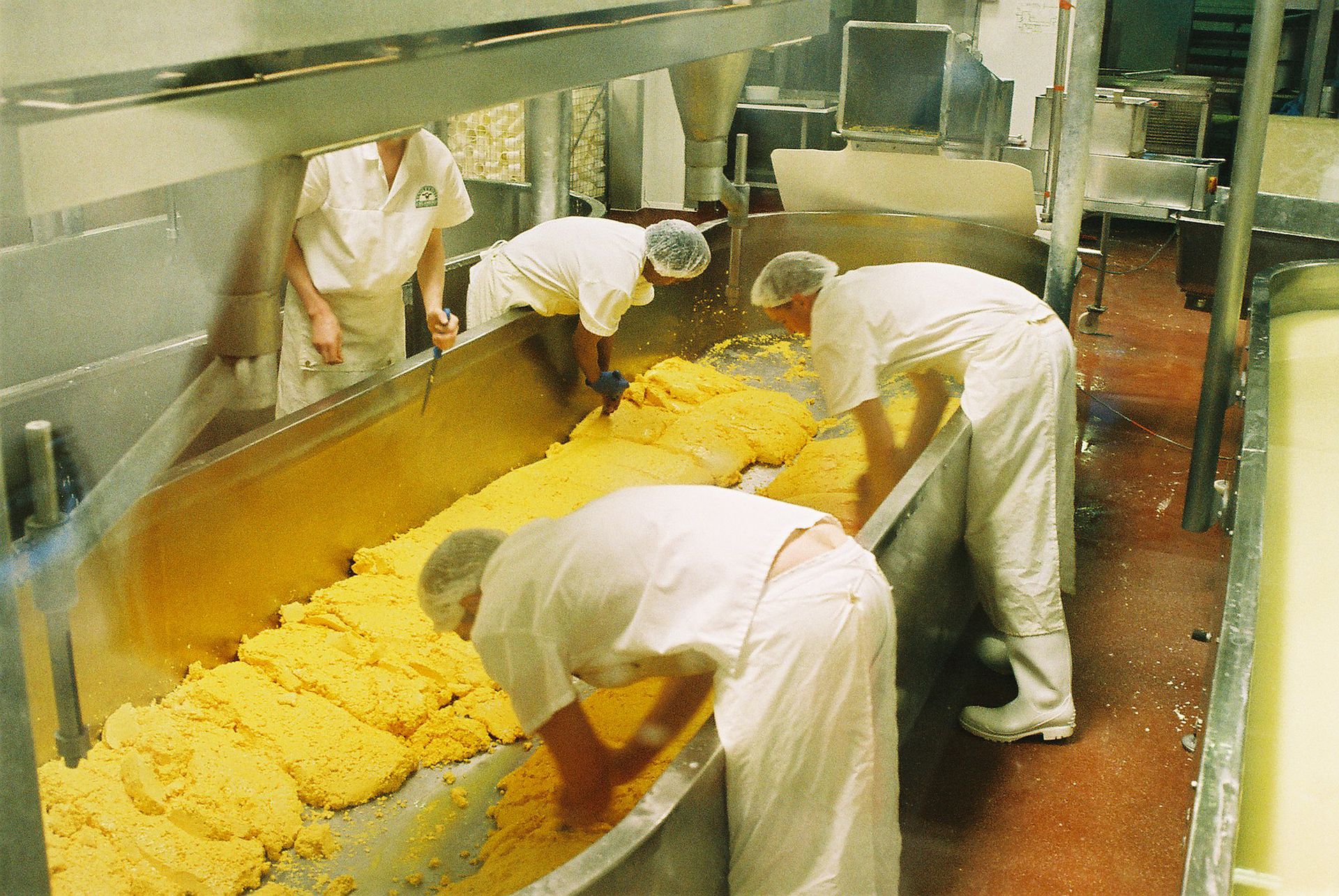 Workers in a cheese factory processing curds in stainless steel vats, showcasing traditional cheese-making.