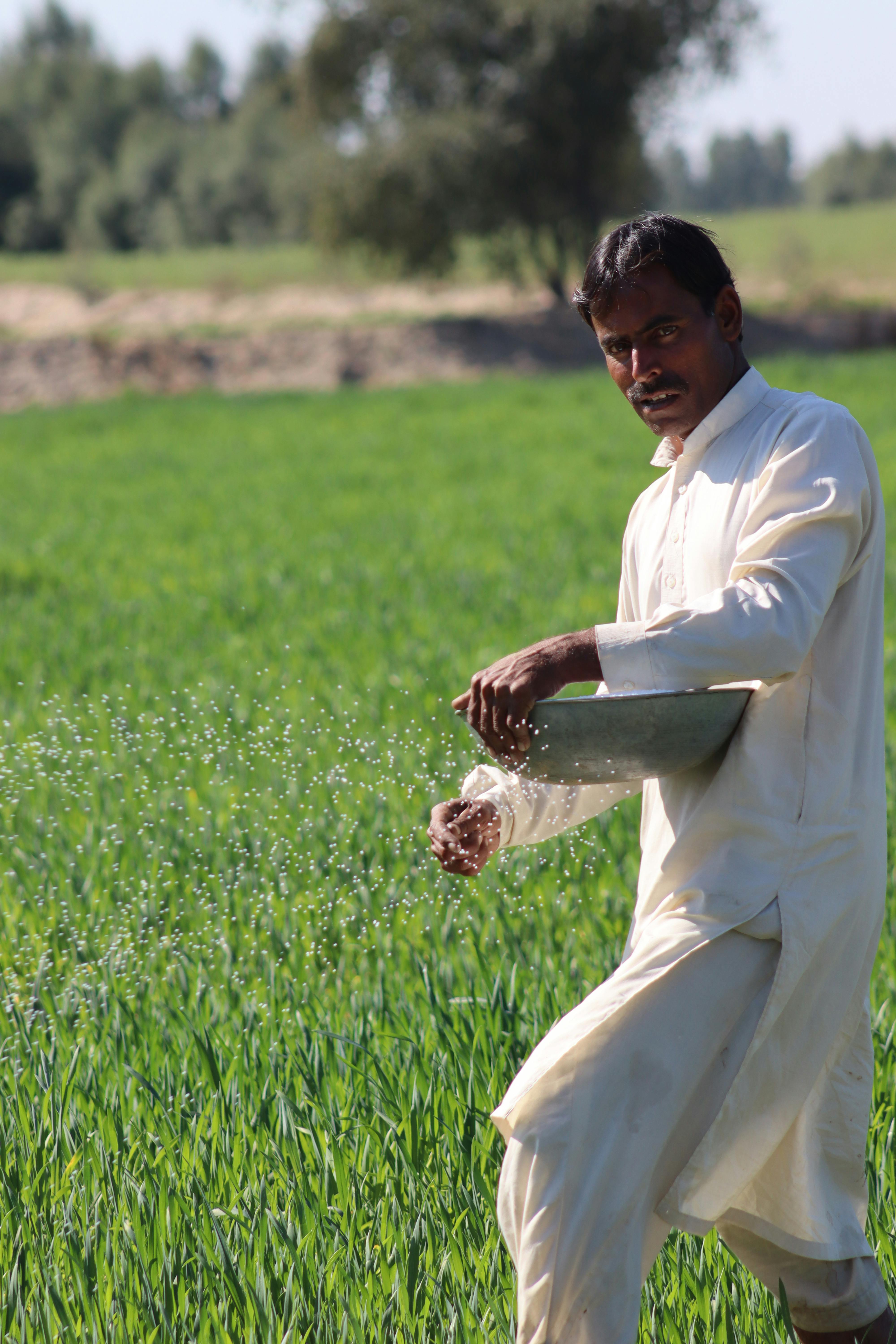 Biofarm insights image