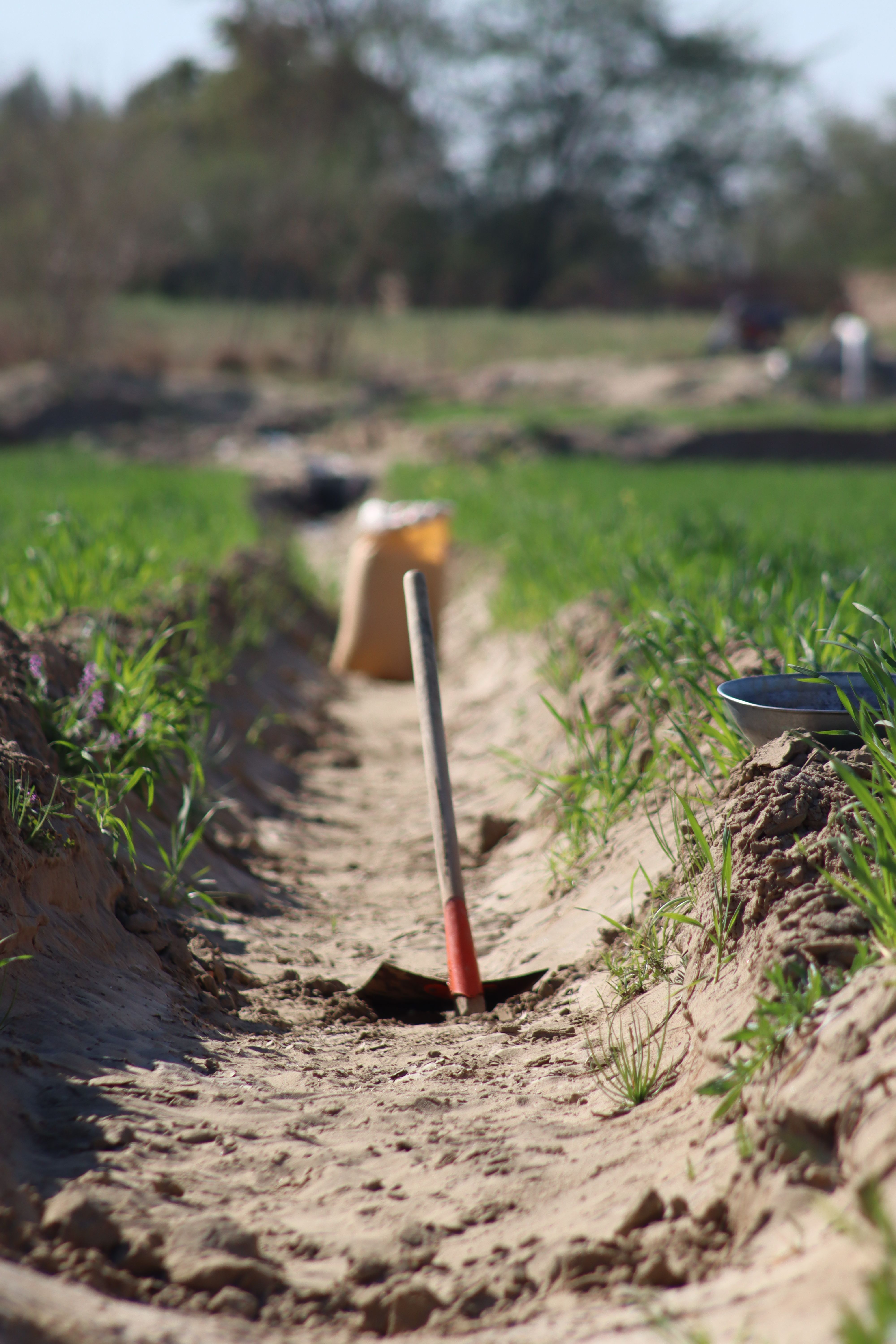 French Drain Repair in Lone Tree, CO