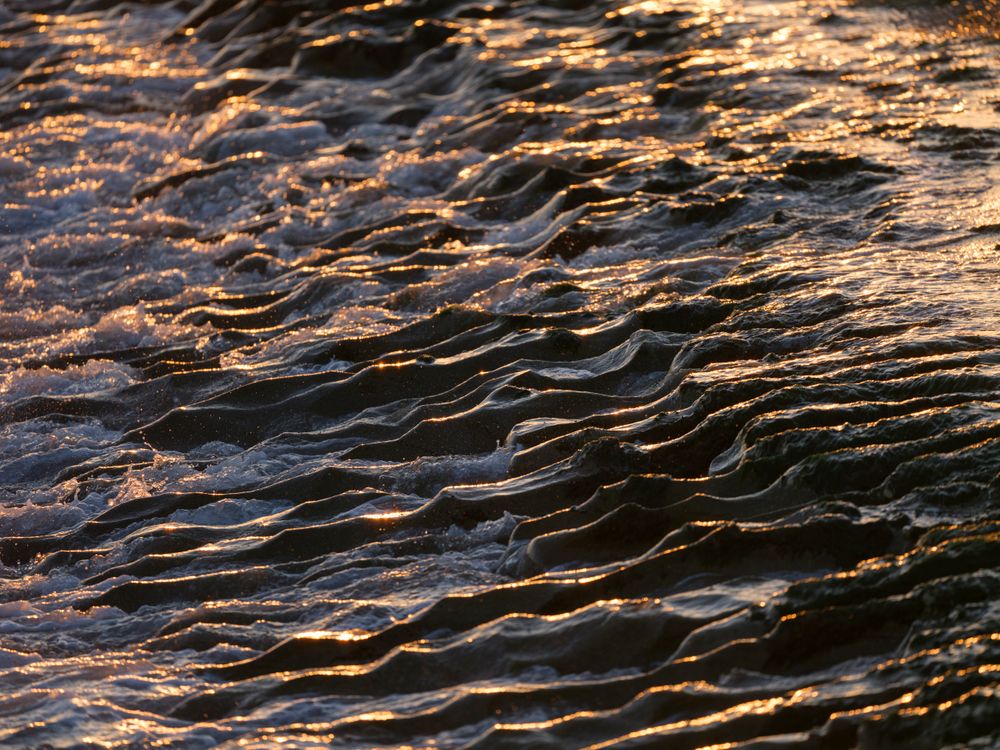 Golden Sunlight Reflecting on Ocean Waves · Free Stock Photo