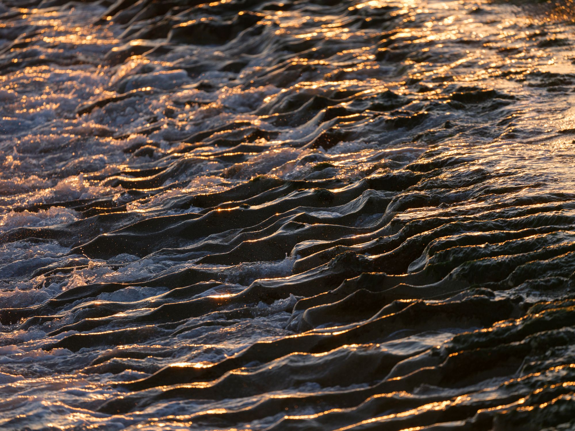 Golden Sunlight Reflecting on Ocean Waves · Free Stock Photo