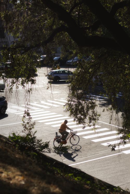 Free A person rides a bike across a zebra crossing in Lucca, Tuscany. Stock Photo