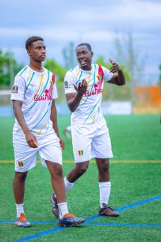 Two soccer players in action wearing Guinea national team uniforms on a green field.