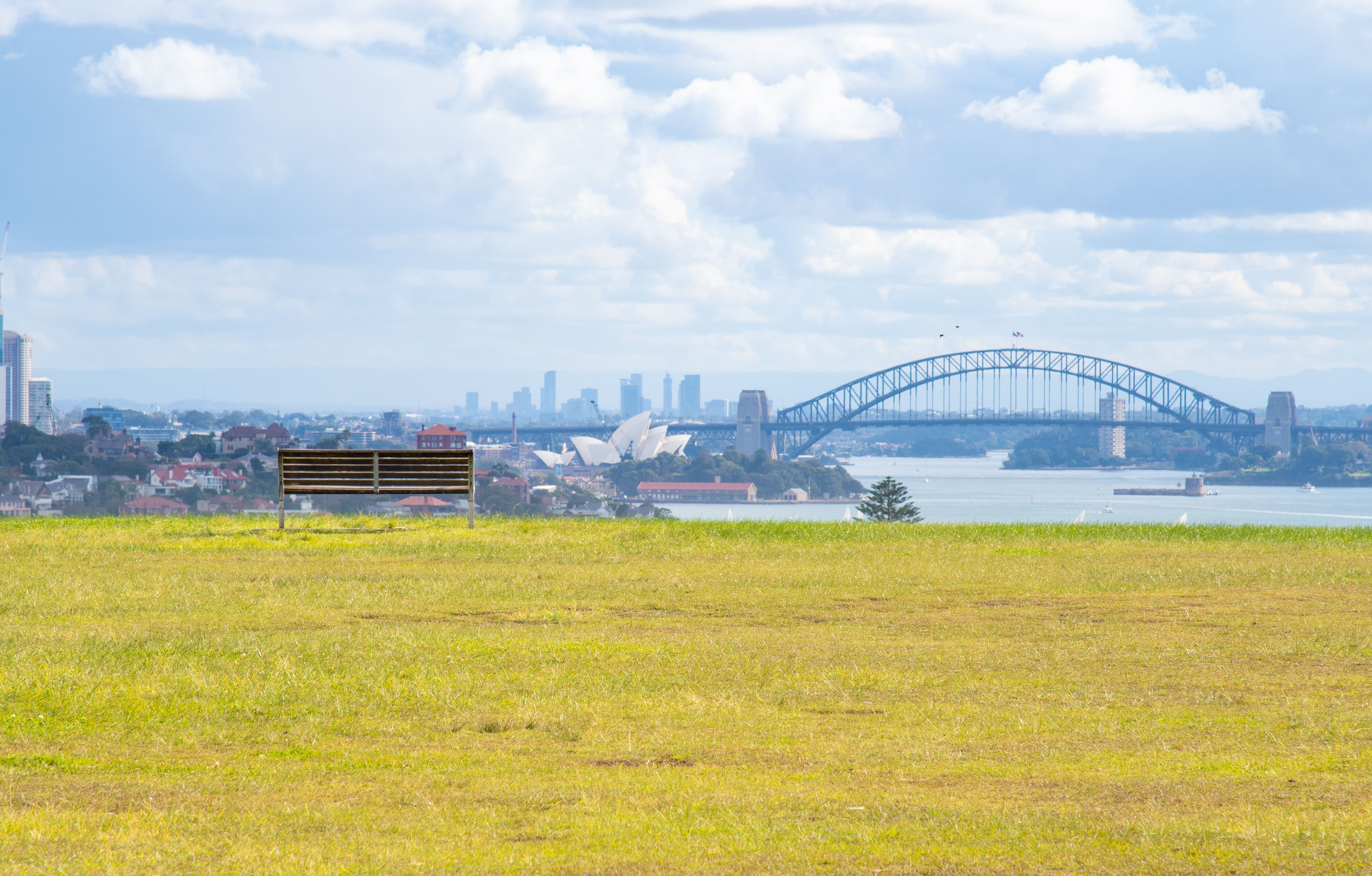 A serene park bench with a stunning view of the Sydney Harbor Bridge and Opera House in the background.