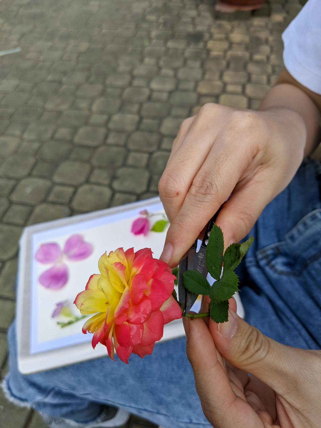 Sức mạnh Đạo Đức Kinh trong thời đại mới