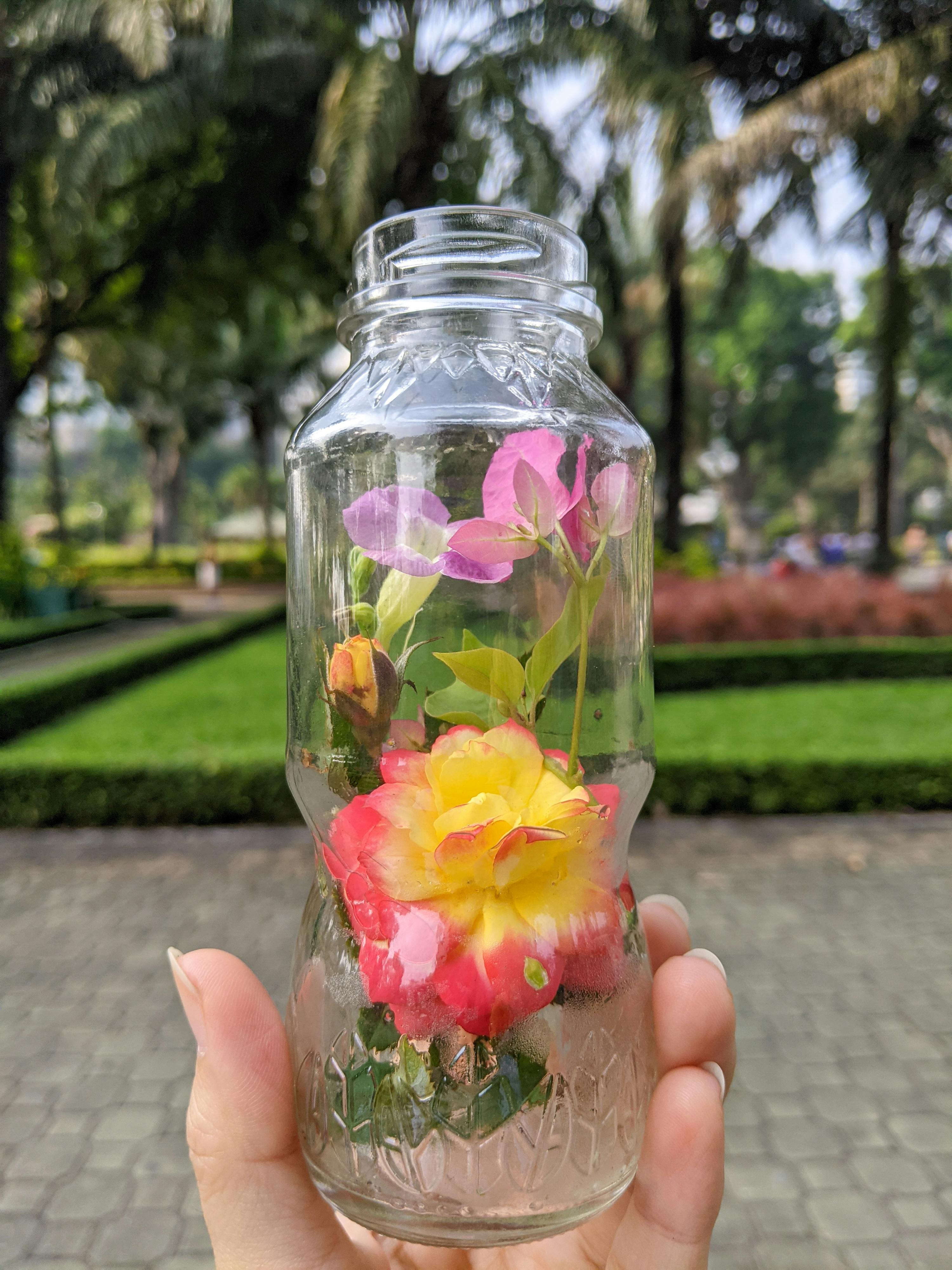 Thám tử lừng danh Conan | Tập 008