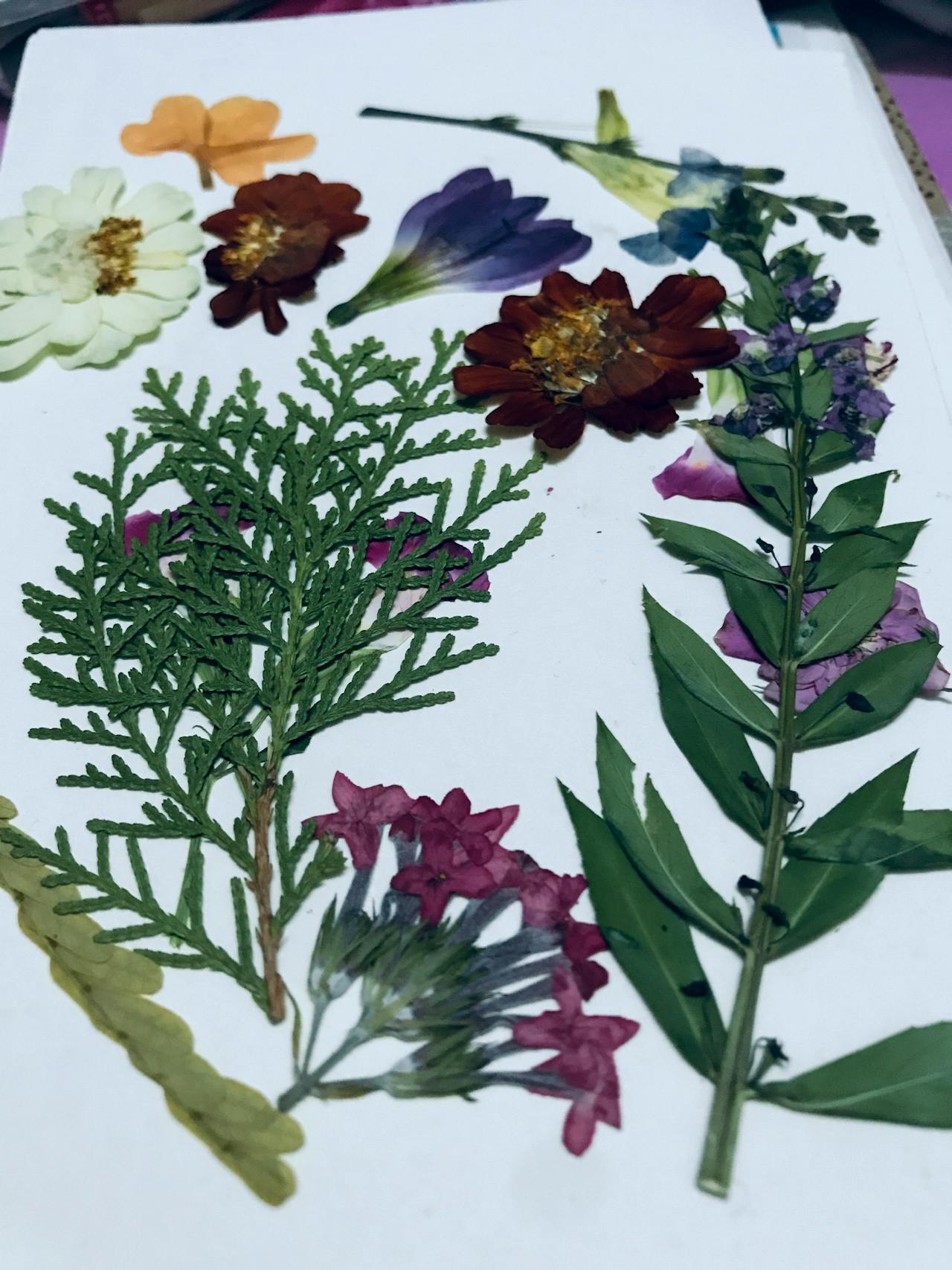 Hiểu về trái tim | Chương 23