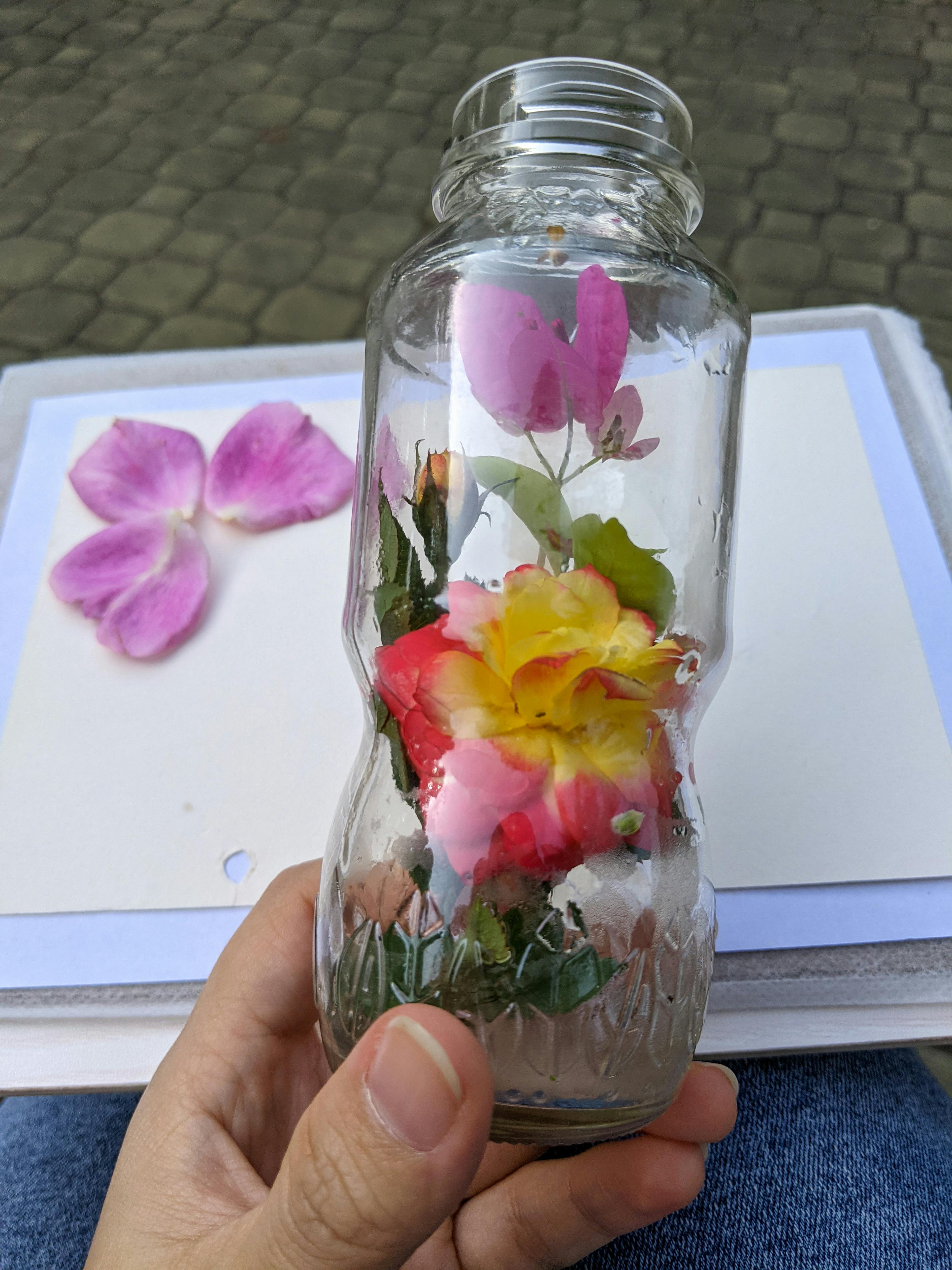 Gieo trồng hạnh phúc | Chương 44