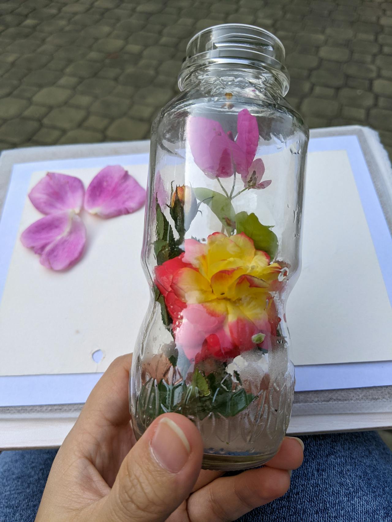 Đồ nhiên thảo | Chương 10