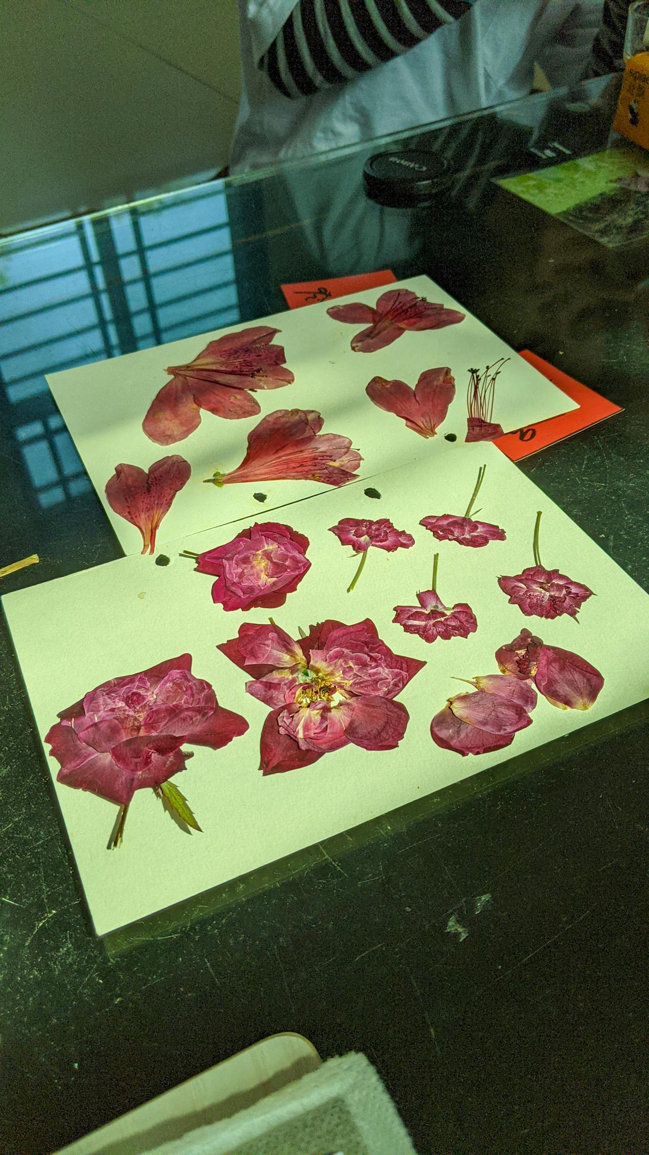 10 khám phá về vũ trụ giãn nở từ Nobel