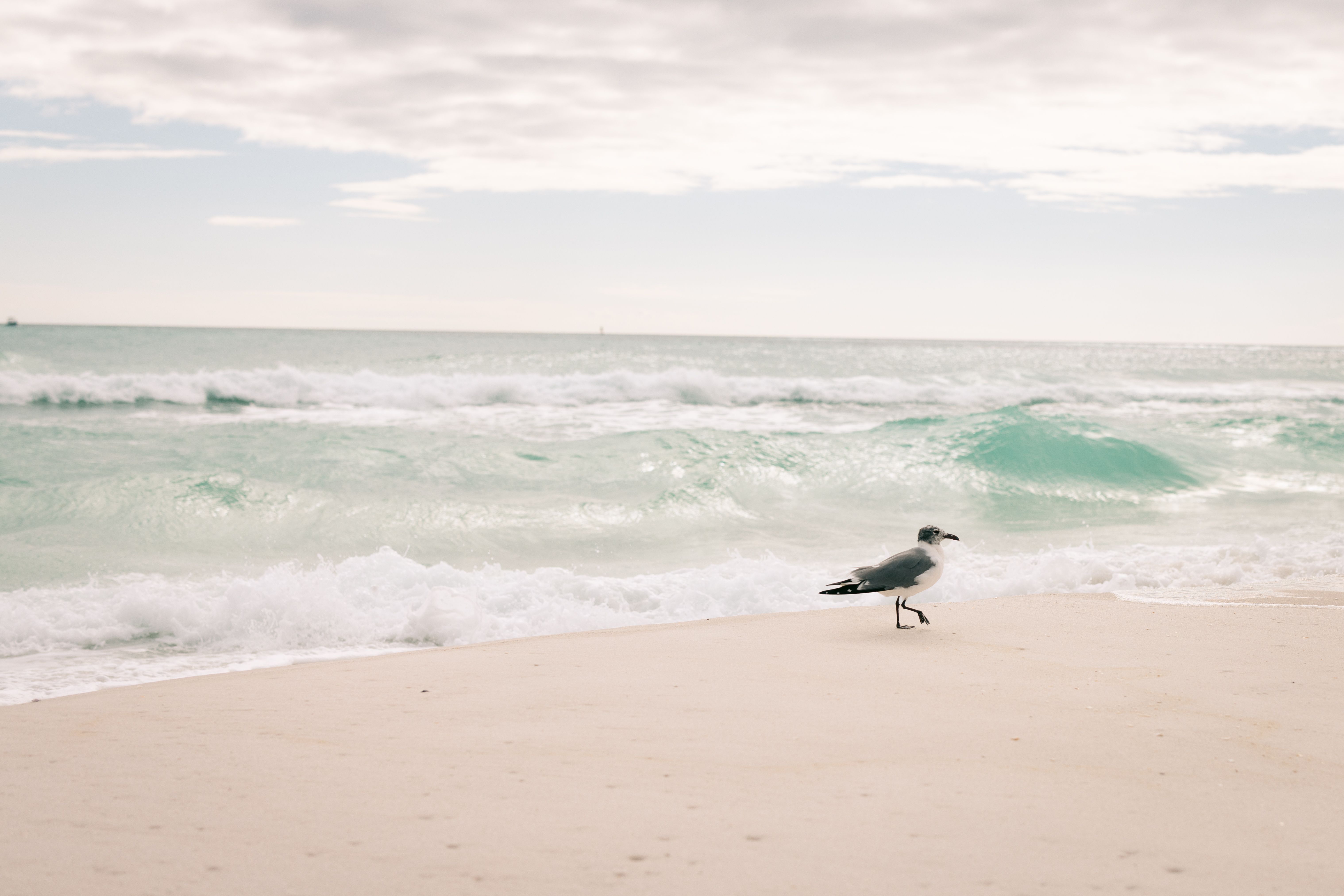 Emerald green water and white sand beach in Destin Florida Gulf Coast