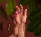 这张双手与粉色花朵和绿叶交织的审美照片，展现了自然之美