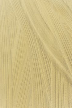 An overhead view displaying the unique texture and tire tracks imprinted in golden sand.
