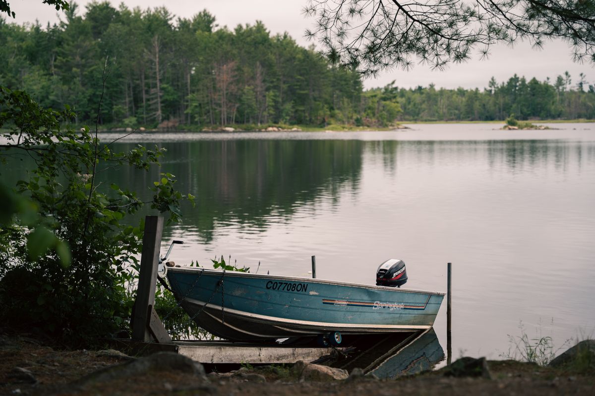 Petite barque en aluminium avec moteur hors-bord tirée sur un rivage rocheux sous des conifères denses