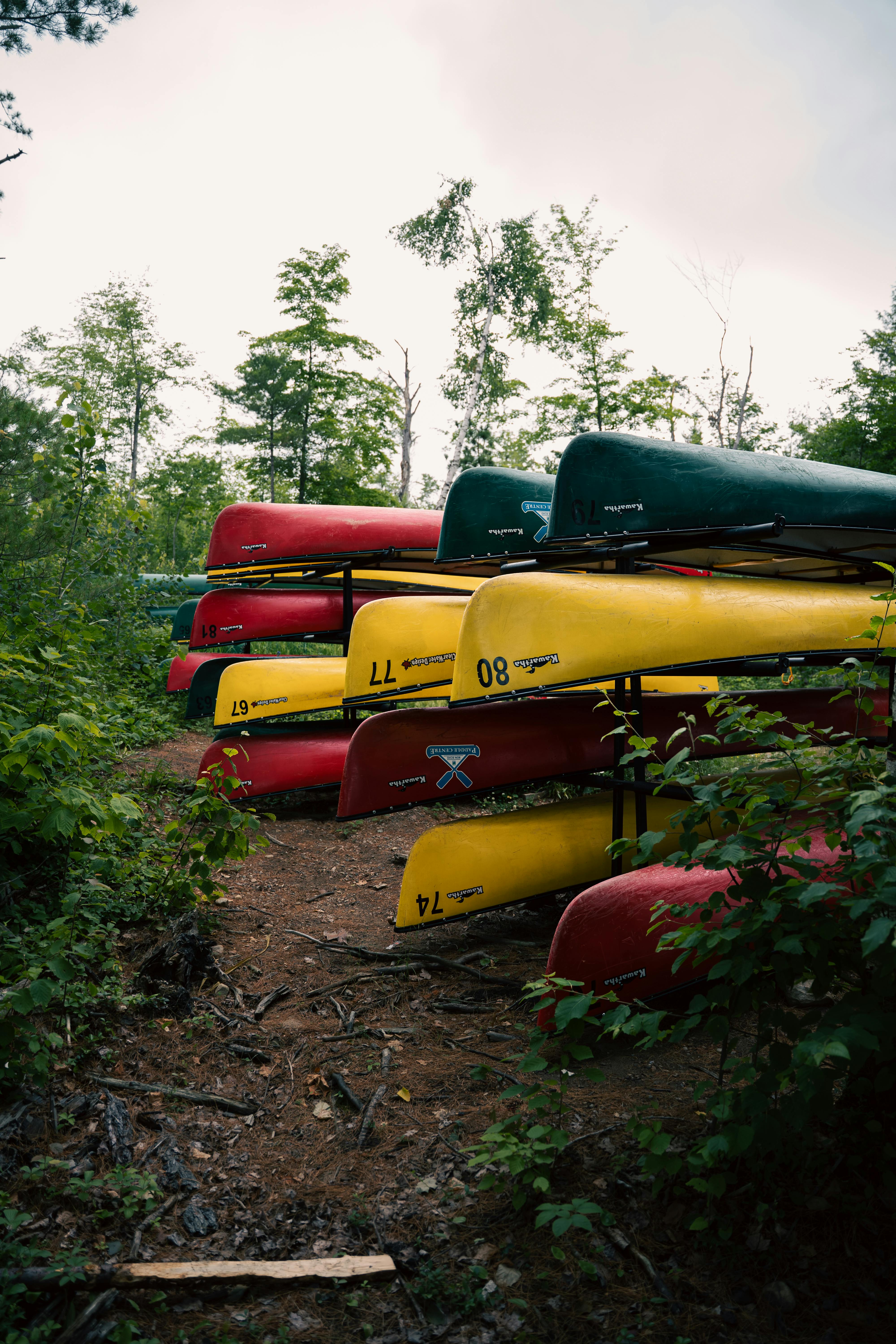 Brightly colored canoes neatly stacked in a lush forest setting, perfect for outdoor adventures.