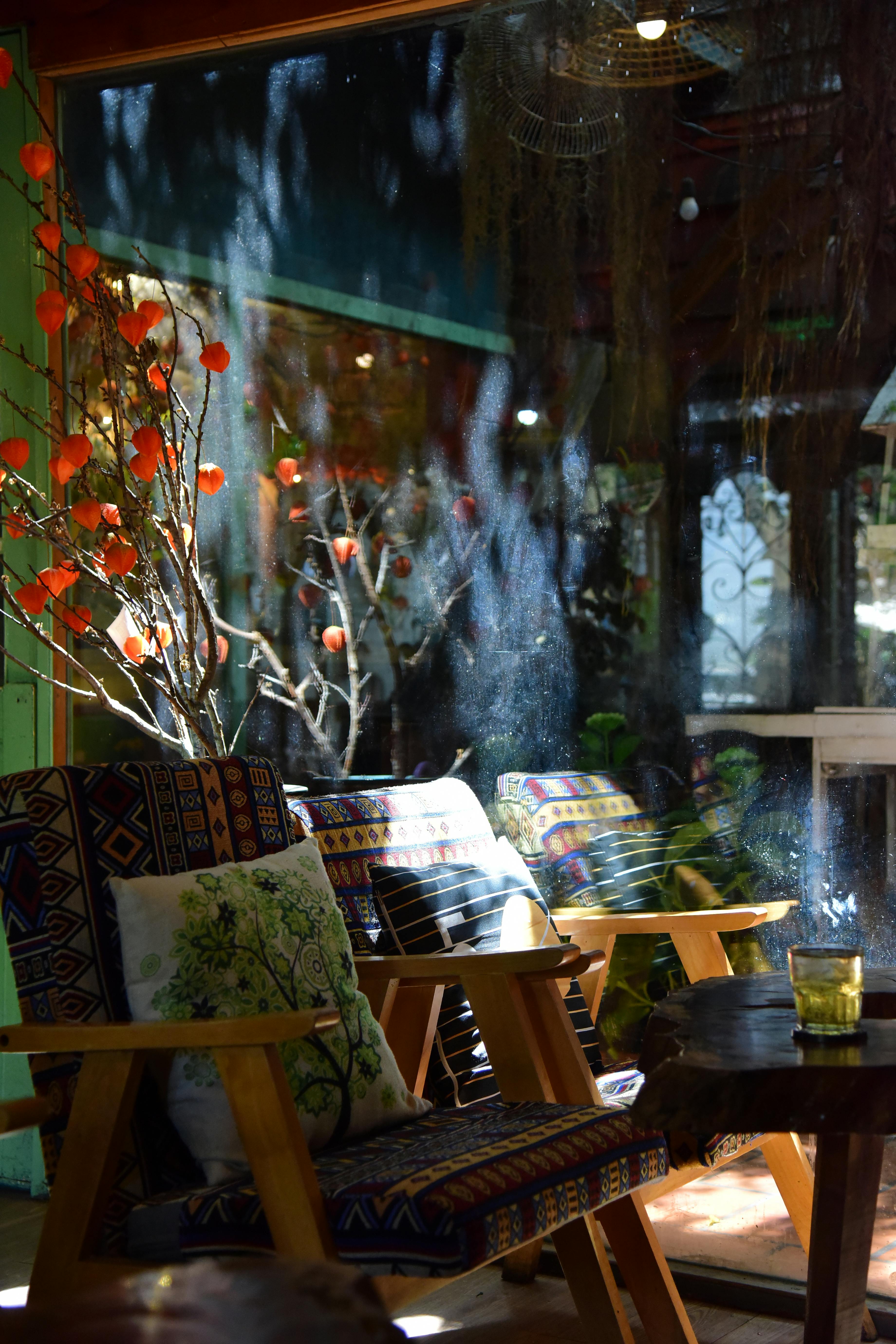 Gratuit Zonă de relaxare interioară primitoare, iluminată de lumina soarelui, cu scaune cu model și decor vibrant. Fotografie de stoc