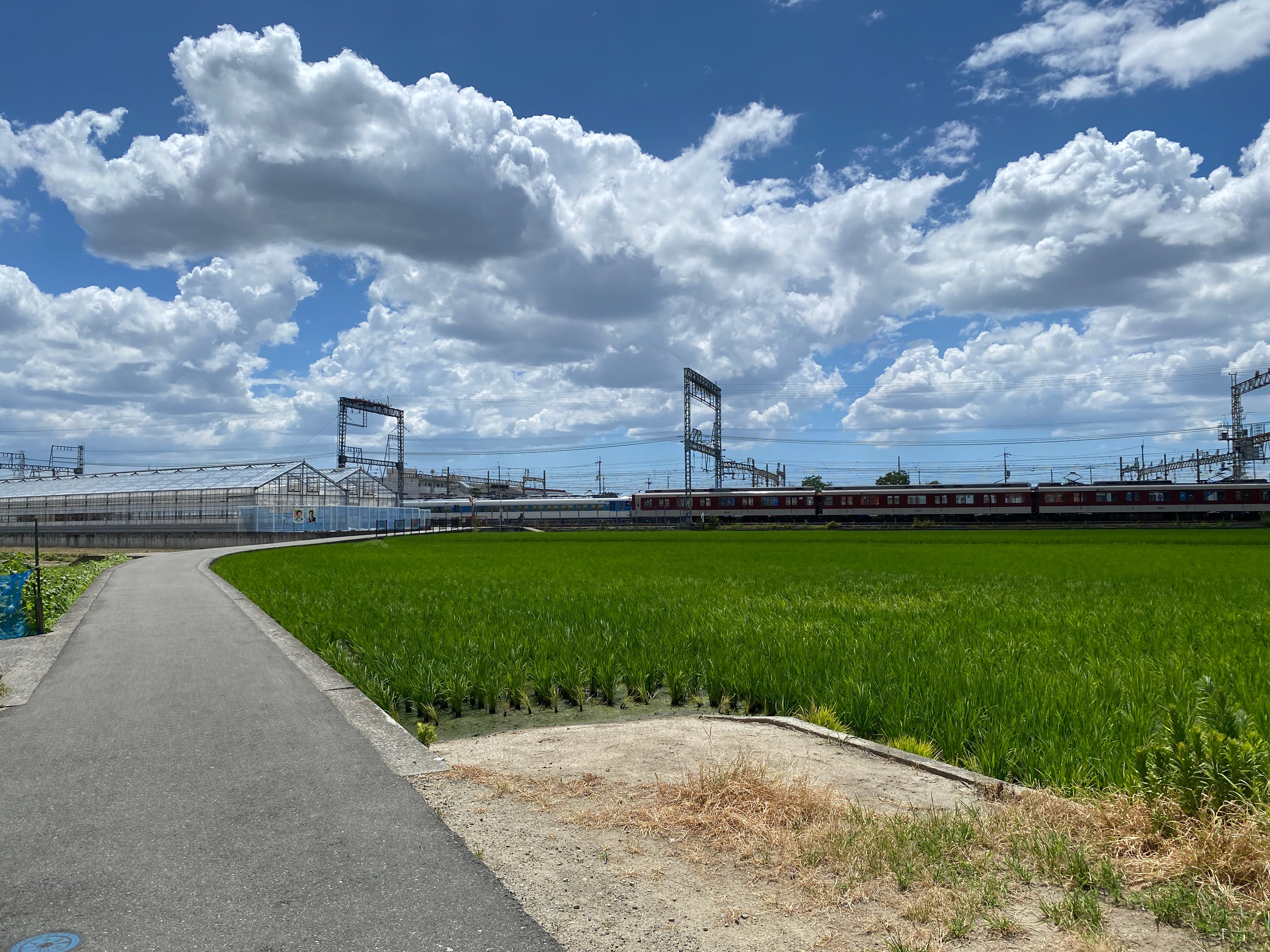 Travel inspiration for Off-the-Beaten-Path Kansai & West Japan: A Smart Explorer's 5-Day Itinerary