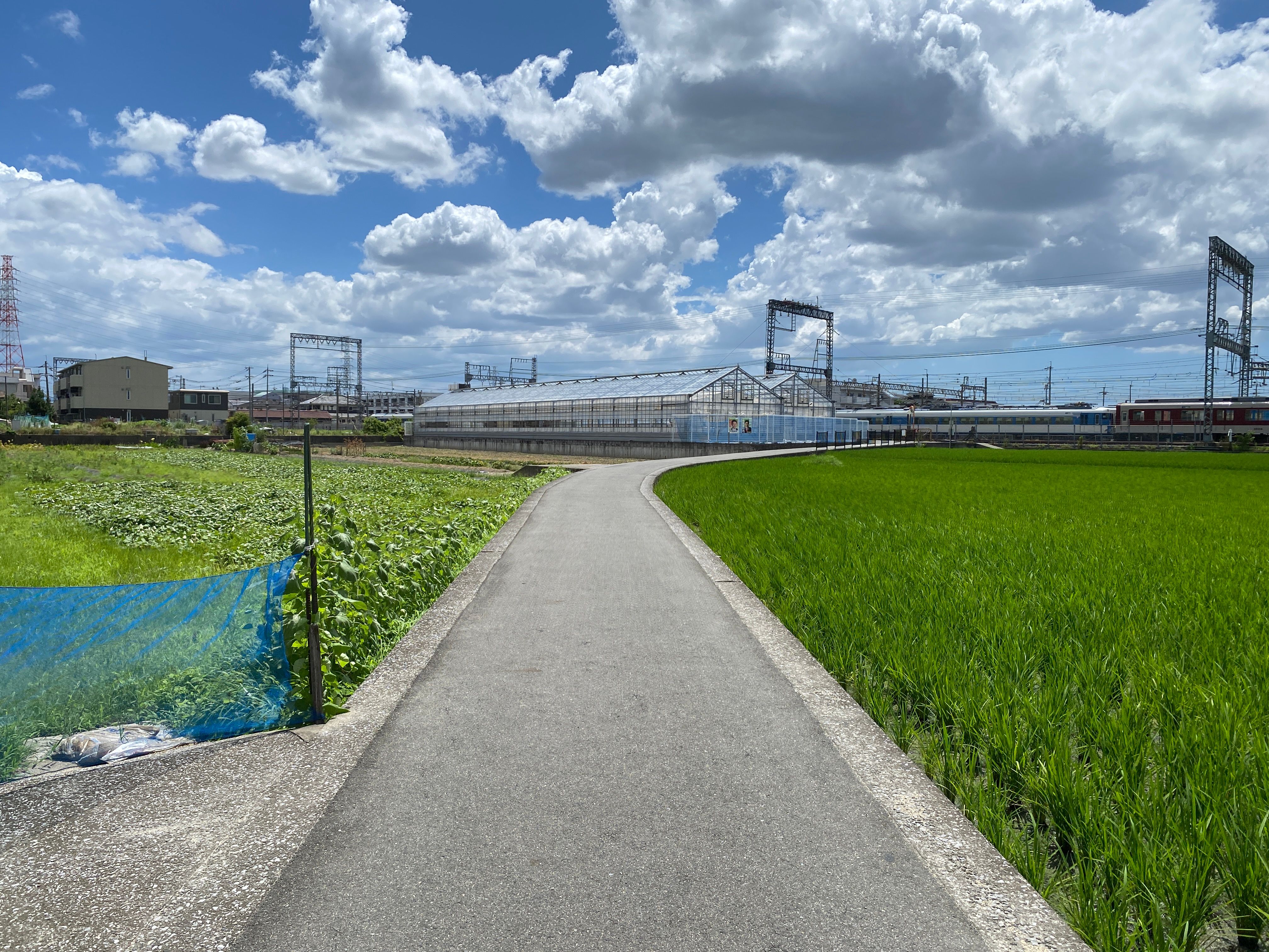 Japan’s Rural Gems Surge in Popularity as Travelers Seek Authentic Experiences in 2026