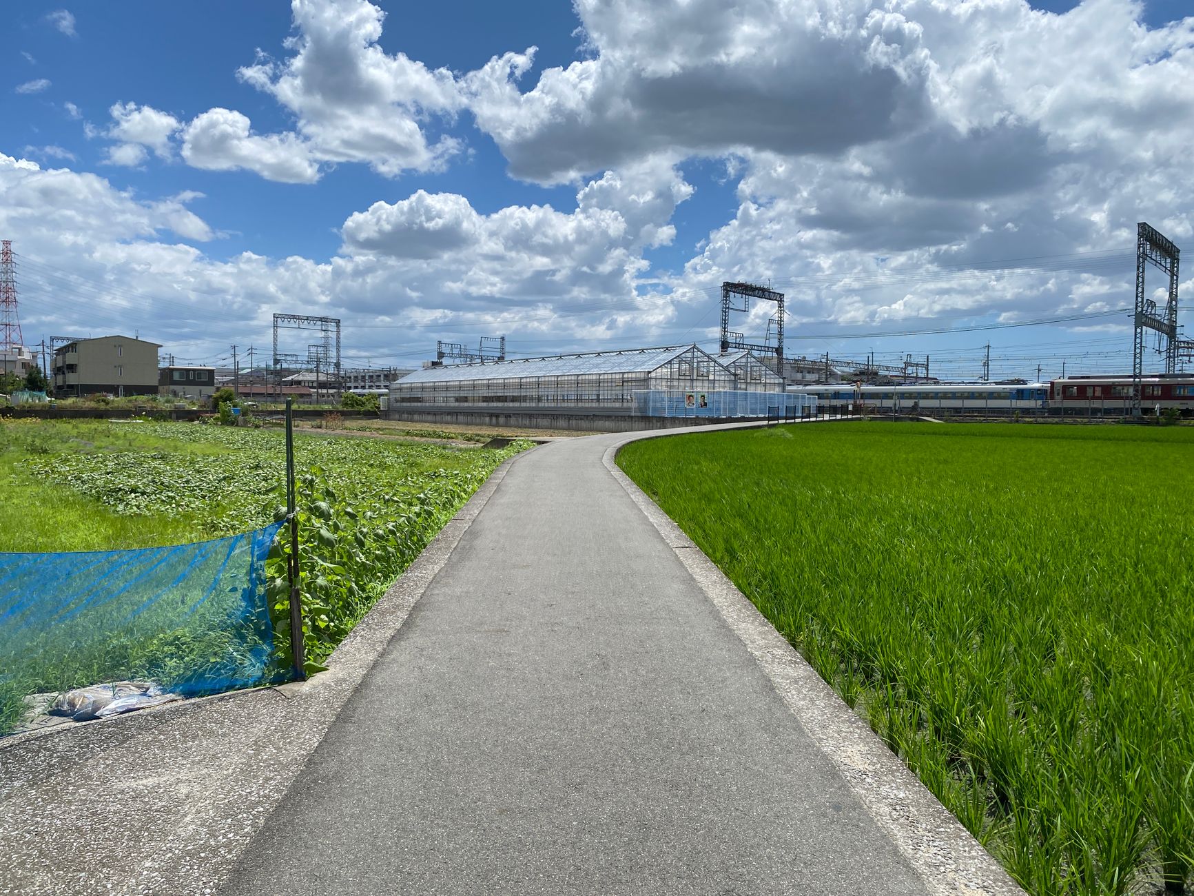 Japan’s Rural Gems Surge in Popularity as Travelers Seek Authentic Experiences in 2026