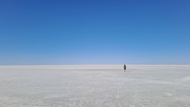 Makgadikgadi salt pans full moon — Botswana