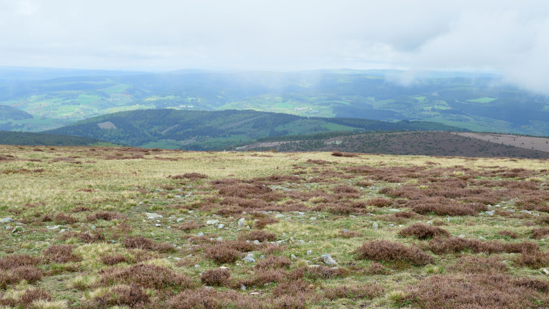 Paysage de landes et de collines en Lozère