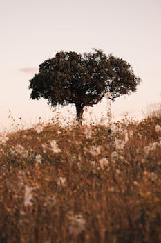 A lone tree stands on a hill surrounded by wildflowers under a soft sunset sky.