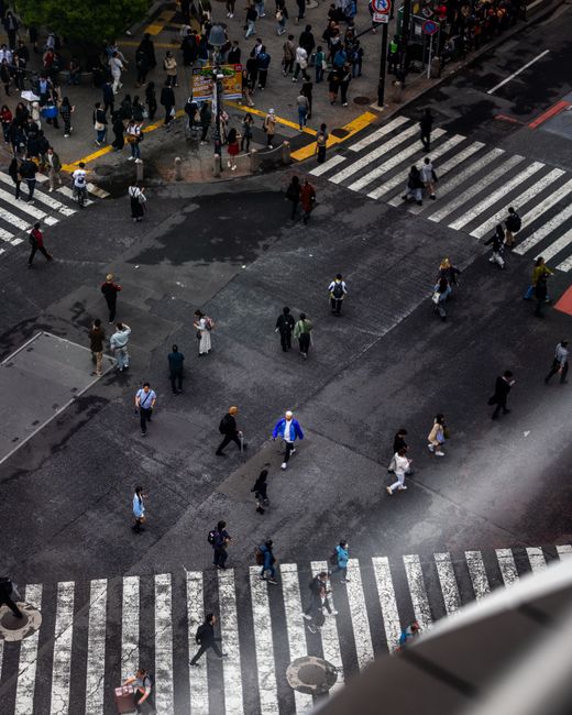 Shibuya Crossing Iconic Landmark and Bustling Energy Shibuya Crossing Iconic Landmark and Bustling Energy