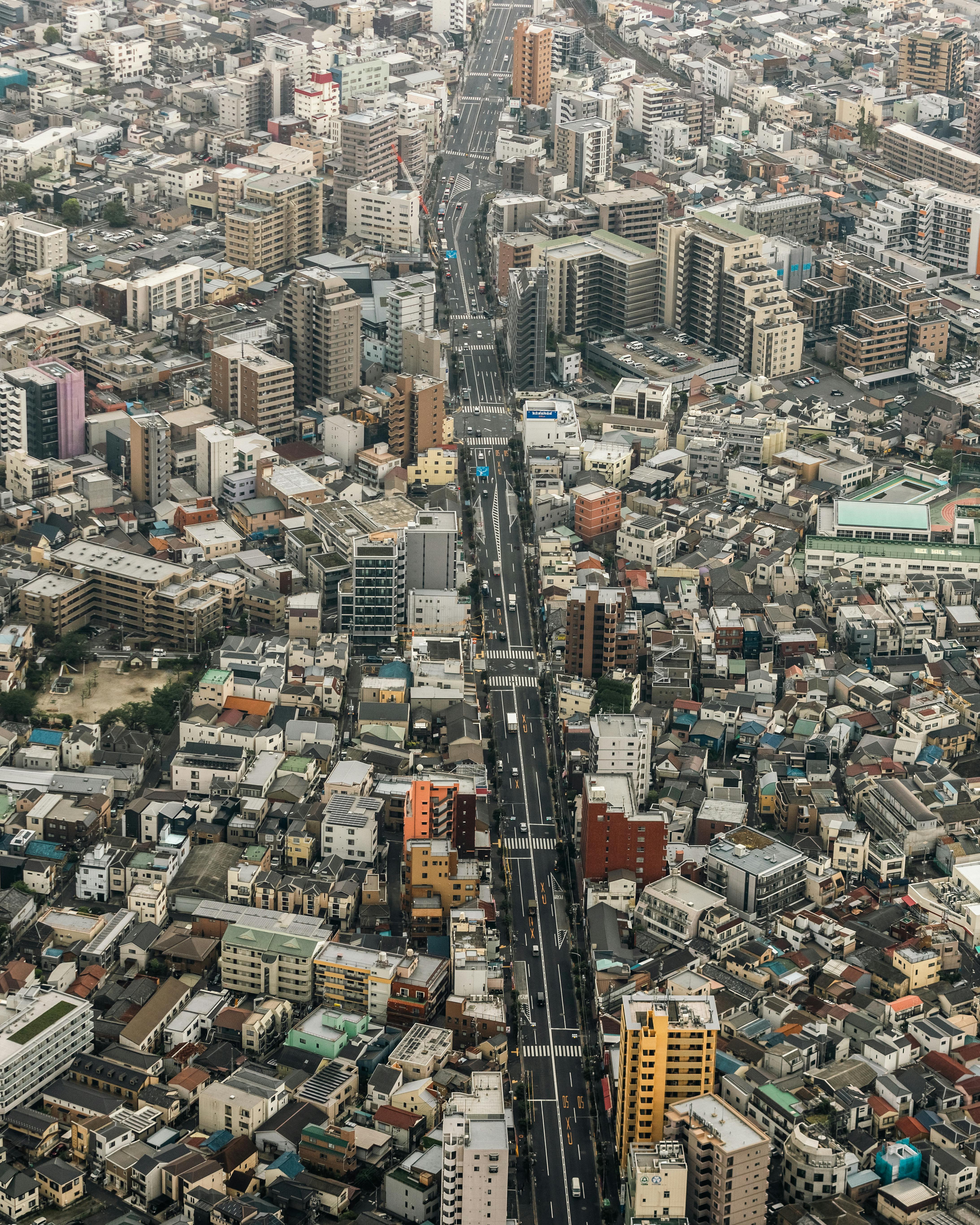 Minggu 1: Tokyo – Metropolis yang Mempesona