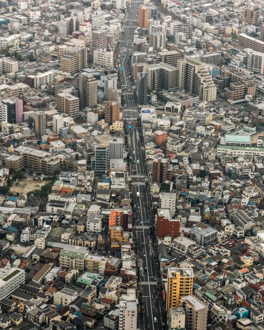 Minggu 1: Tokyo – Metropolis yang Mempesona Minggu 1: Tokyo – Metropolis yang Mempesona