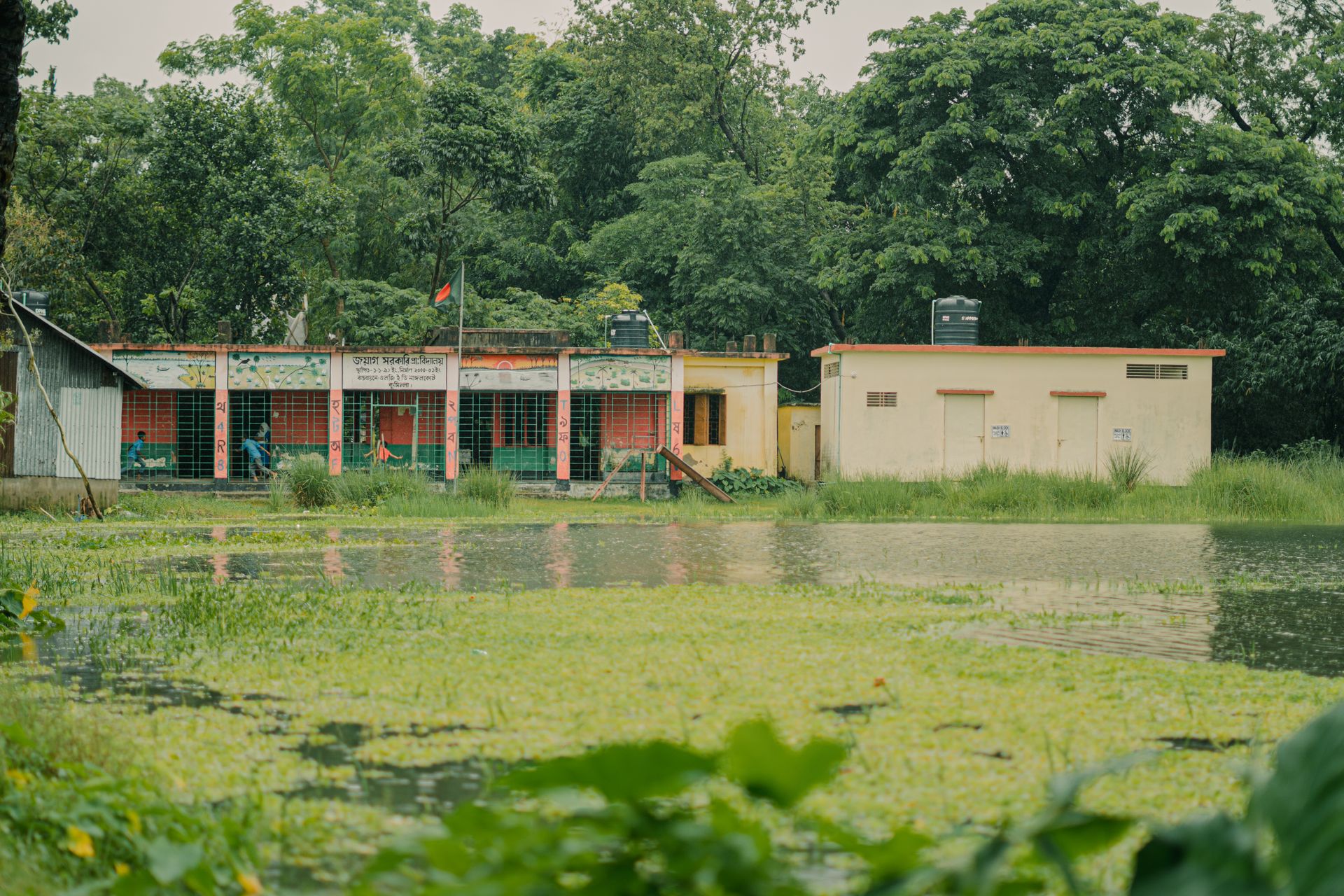 Charming rural school by a pond with lush greenery and serene ambiance.