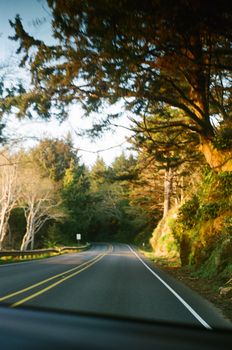 A picturesque drive through a forest road with warm lighting and lush greenery.