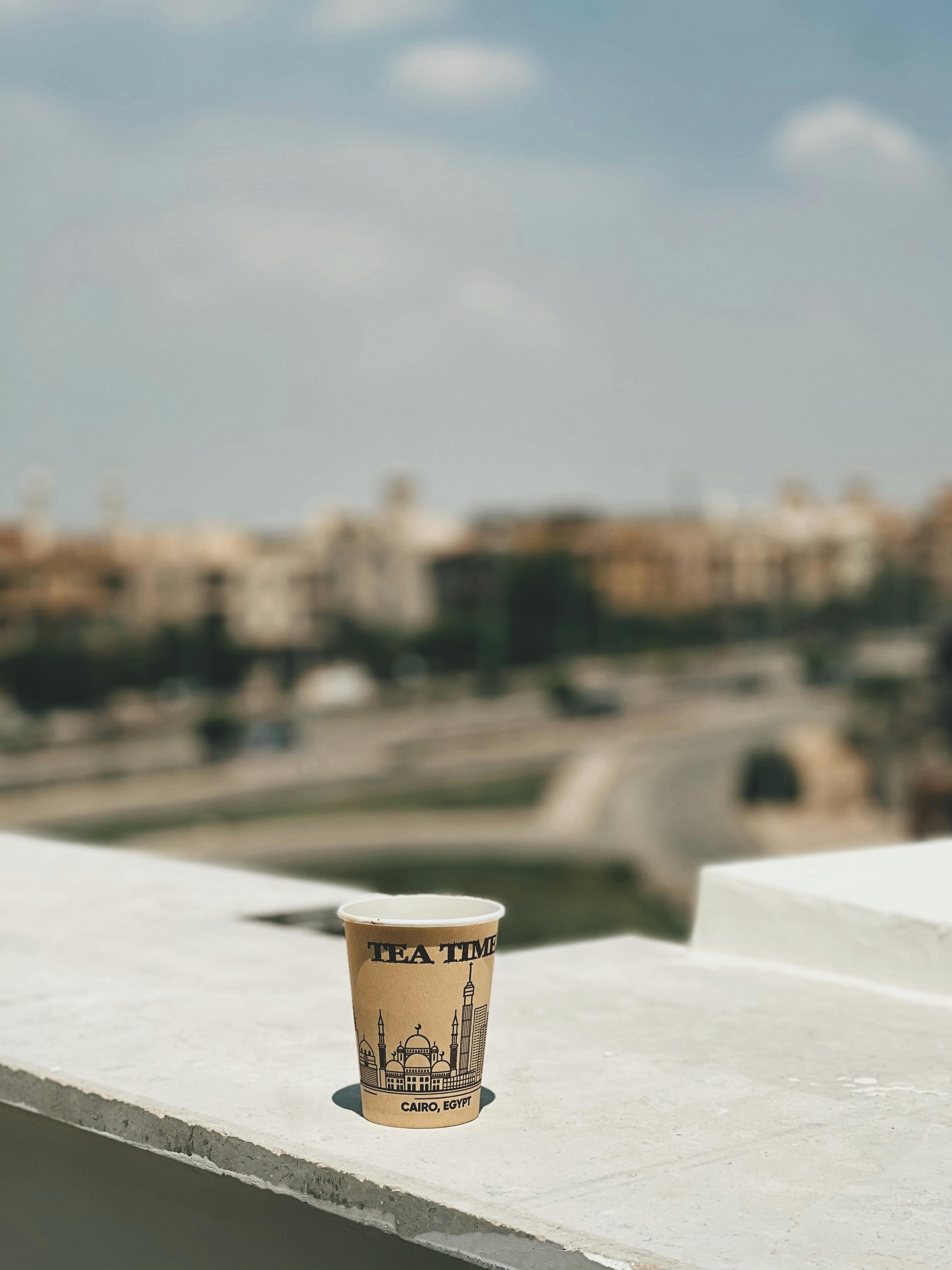 Loon Drawing Photos Download The BEST Free Loon Drawing Stock Photos