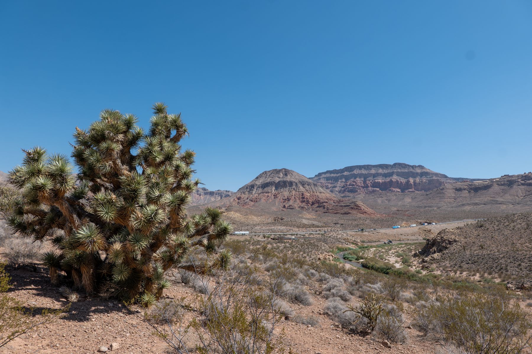 Eroded bentonite clay spires and slot canyons at Cathedral Gorge State Park in eastern Nevada