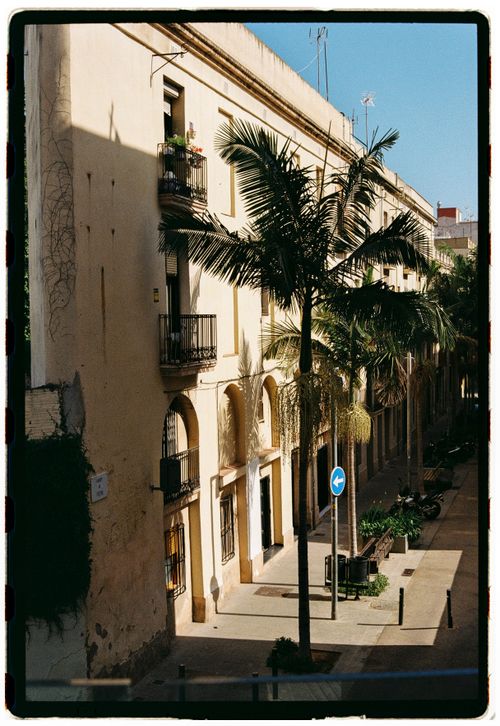 Free Charming street view with palm trees and historical architecture on a sunny day. Stock Photo