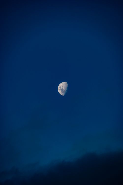 Free Captivating half moon in a deep blue sky captured in Northland, New Zealand. Stock Photo