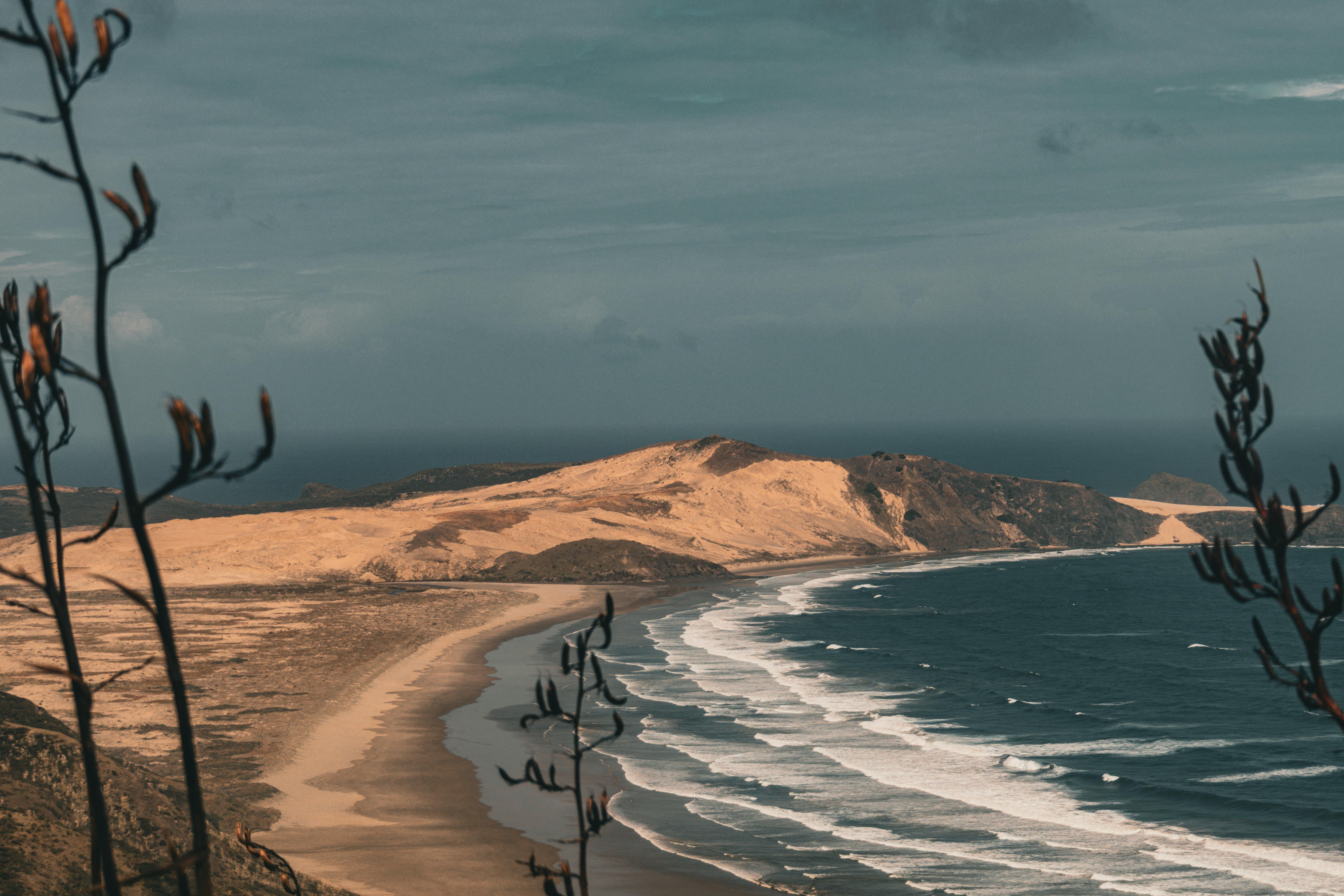 A travel guide to New Zealand: Cost, culture and more tips for visiting the country — Photo by Ollie Craig on Pexels