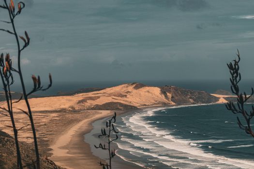 Stunning coastal landscape of Cape Reinga in New Zealand, showcasing sandy beaches and blue ocean waves.