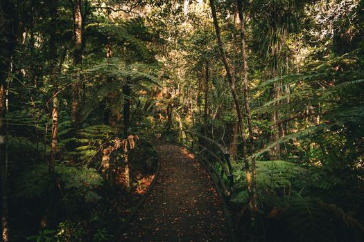 Waitomo glowworm caves day — Rotorua