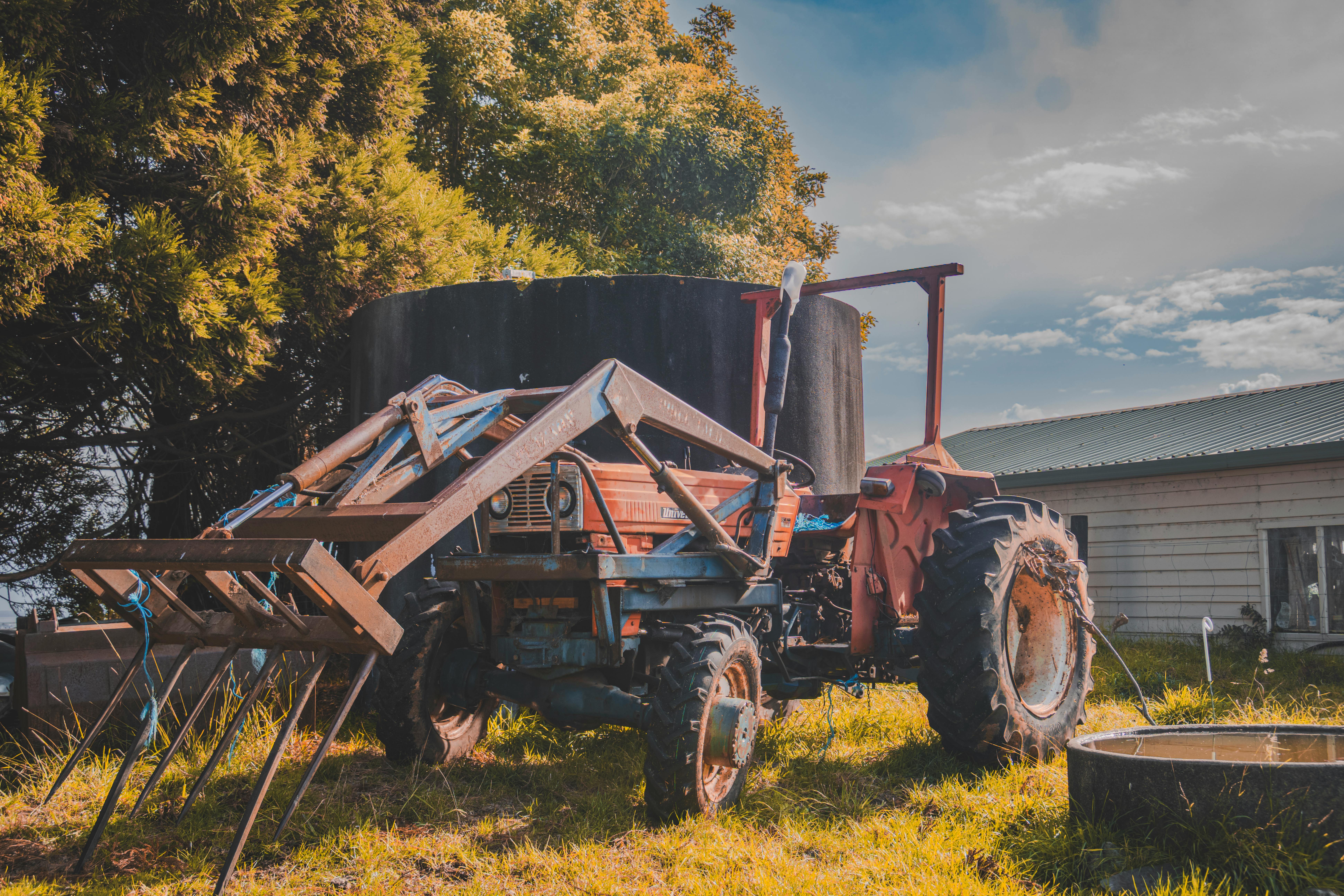 Old red tractor resting on grassy field in Tauranga, New Zealand's golden hour.