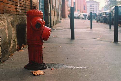Free stock photo of city, fire hidrant, pavement