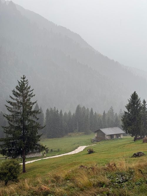 Free A serene cabin nestled in the foggy forests of Tonadico, Trentino-South Tyrol, Italy. Stock Photo