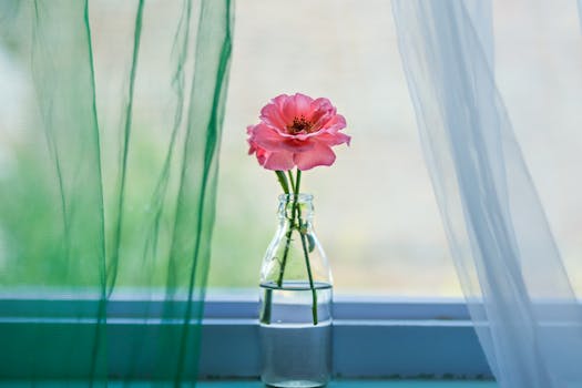 Elegant pink flower in a glass vase on a windowsill with sheer curtains framing the view.