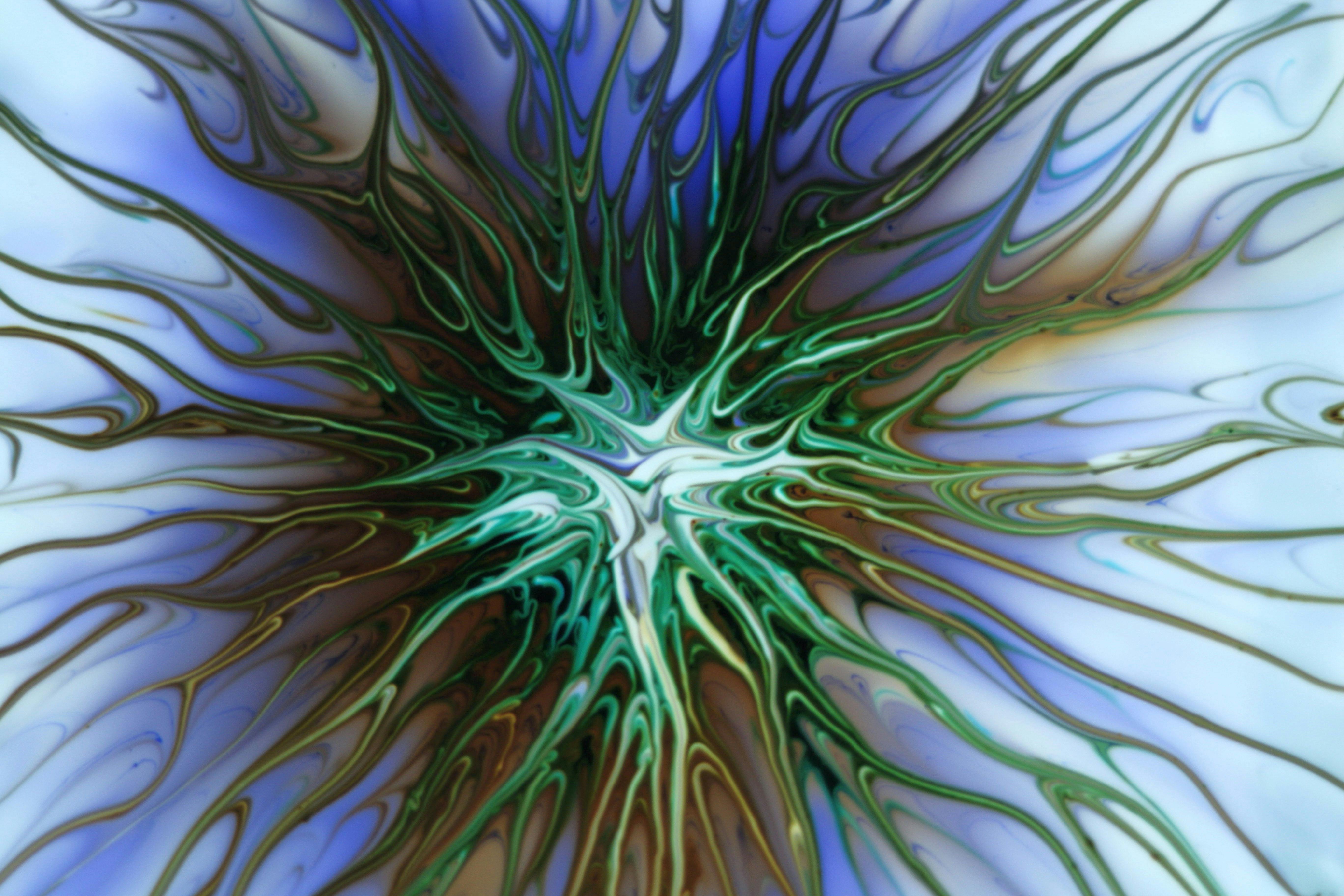 From genes to networks: neurobiological bases of neurodiversity across common developmental disorders — Photo by Landiva  Web