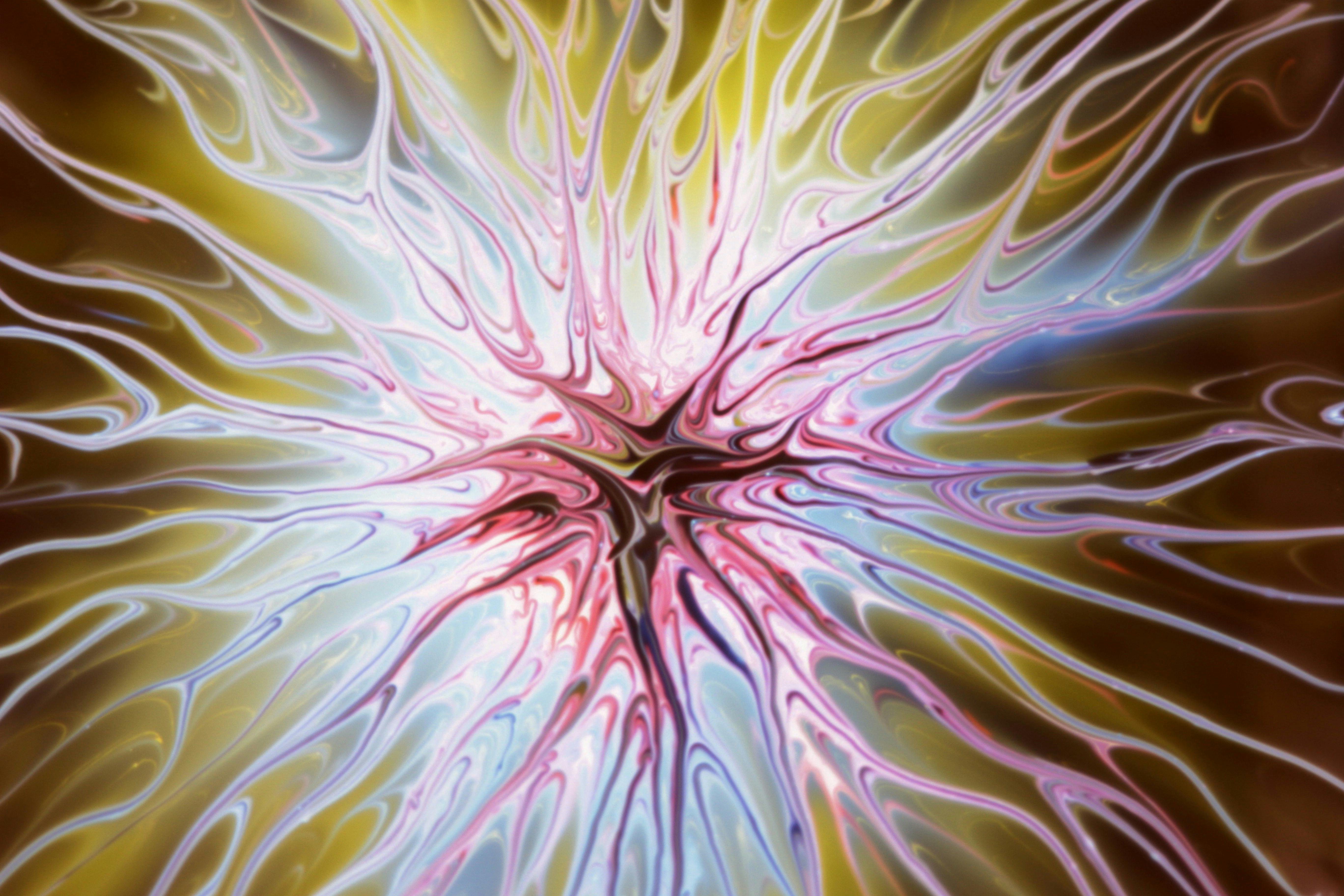 From genes to networks: neurobiological bases of neurodiversity across common developmental disorders — Photo by Landiva  Web