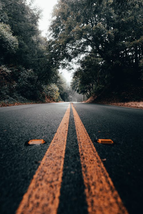Free Photo Of Road During Daytime Stock Photo