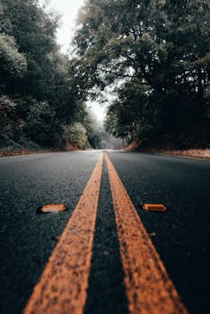 雾林中那条喜怒无常的道路，以黄色中心线强调了透视感